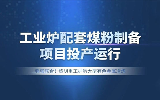 环保与效能兼得，LM立式磨煤机在有色···