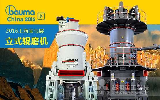 LM/LUM立式辊磨机家族  专属市···