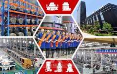 发力2013执着信念绽放活力