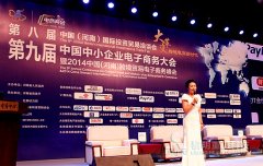 亮出你的剑—“电商两会”跨界竞合